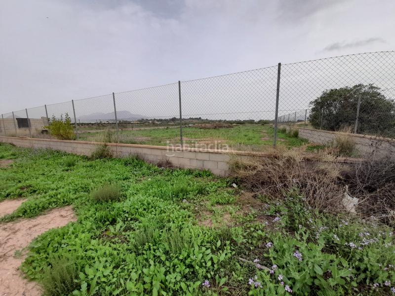 Foto 12acd88e-2012-40c9-8438-61d99ee8928f. Haus in Novelda