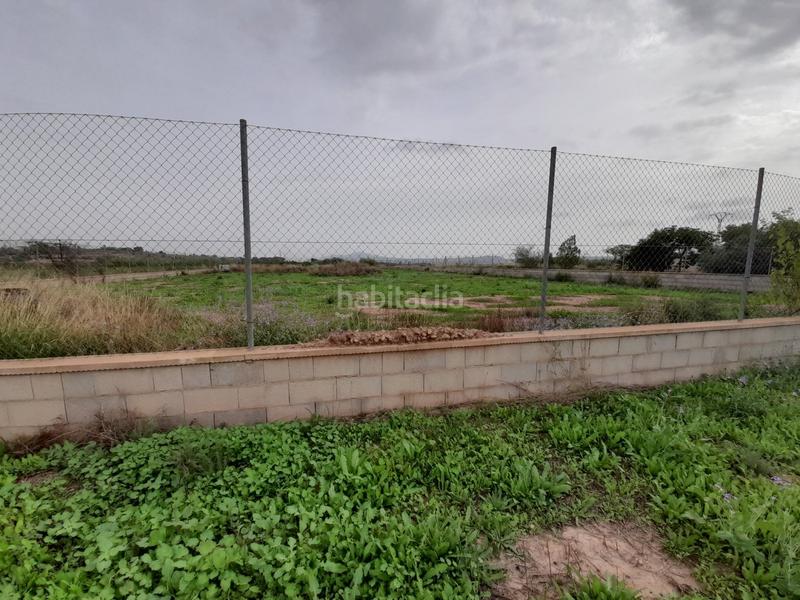 Foto 20e16a42-b962-4e1e-b7a8-e6b1fb1f43da. Haus in Novelda