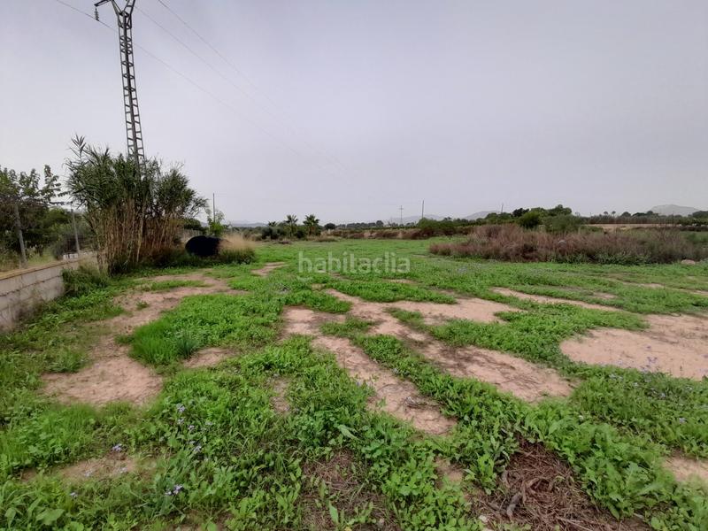 Foto 423508a0-f9f6-469c-89a1-9679e16210ec. Haus in Novelda