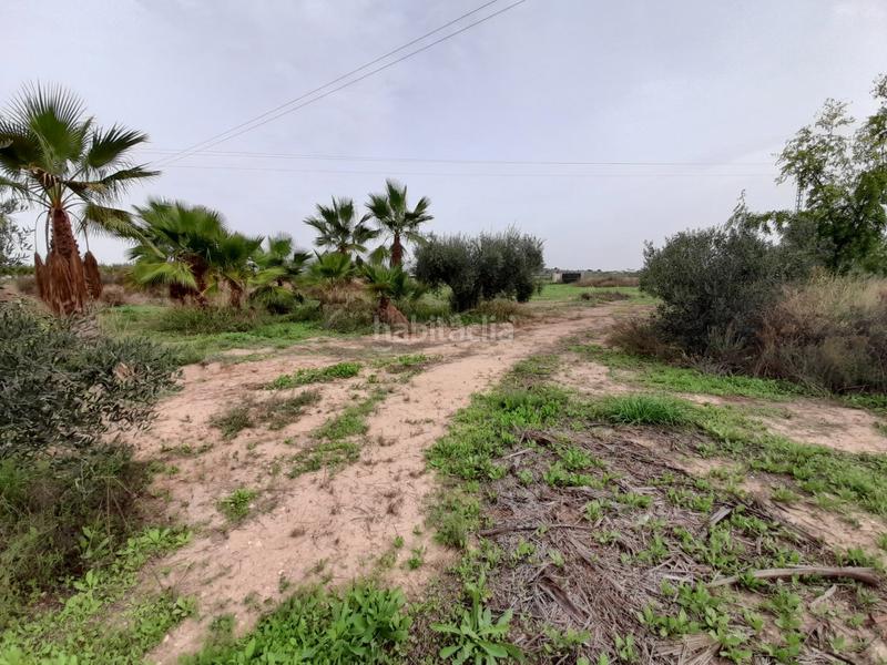 Foto 4ef7998f-bb47-4bd0-a2fa-31e1dcf74b96. Haus in Novelda