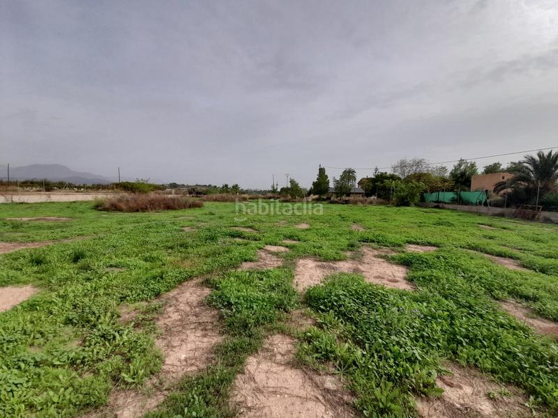 Foto 6874ebfb-d5dc-4618-8ff6-fbb4f763d97e. Haus in Novelda