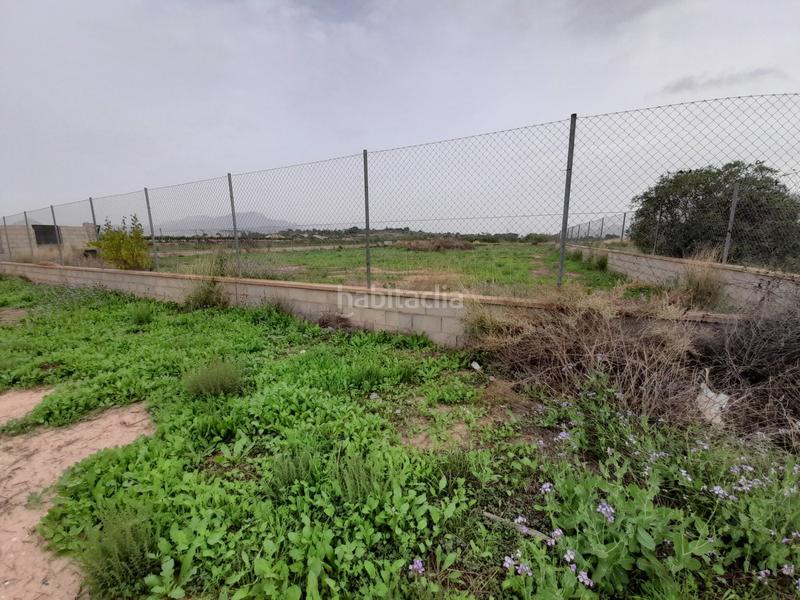 Foto 743a3012-bd6e-4f70-89a9-6f3114ffaca5. Haus in Novelda