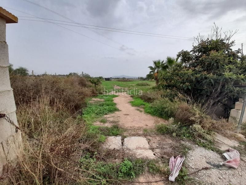 Foto b738212f-d957-412e-9946-9b60a996d1e7. Haus in Novelda