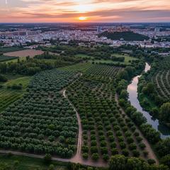 Terreno residencial  Partida ledua. 10 tahullas a 750 metros de novelda