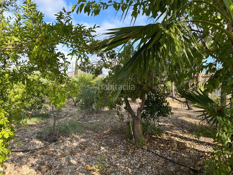 Foto d299d5c3-9d8f-4ebb-9441-7079f9e59648. Chalet con riscaldamento parcheggio piscina in Novelda