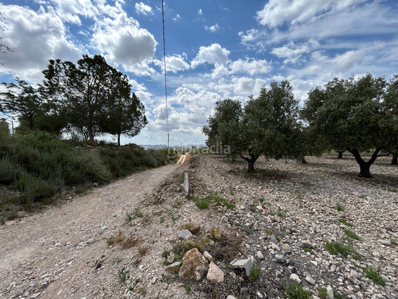 Foto 91ea1294-138d-4bc7-9c76-fef113c70774. Xalet amb aparcament a Novelda