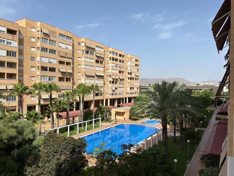 Foto dc739bda-6d73-4342-ac48-b569f3fa2b0e. Apartament amb aparcament piscina a Babel Alicante