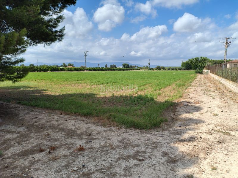 Foto 4cd96e7f-dd28-48e0-bfe8-4f960cee33e1. Finca rústica a Daya Nueva