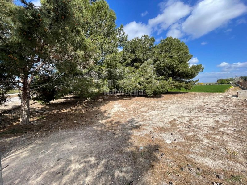 Foto b804c509-bd11-4b54-999c-8a98df9eed2c. Finca rústica a Daya Nueva