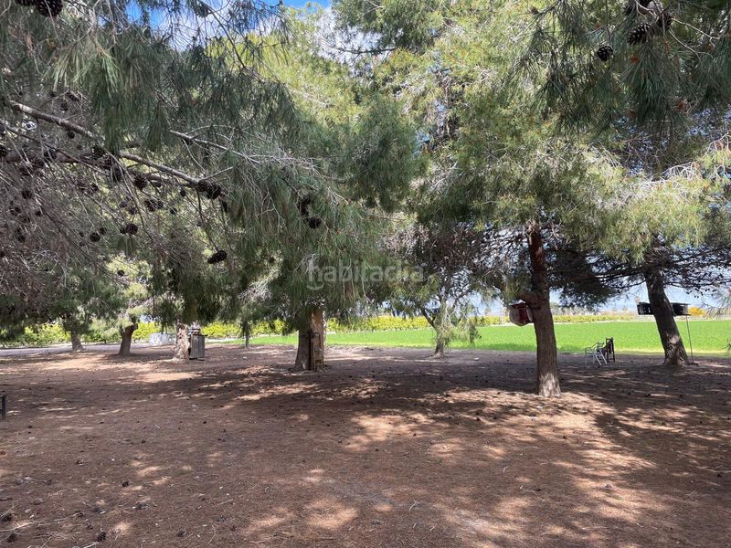 Foto ed9205f4-d2c7-499d-b735-c706a2e469d1. Finca rústica a Daya Nueva