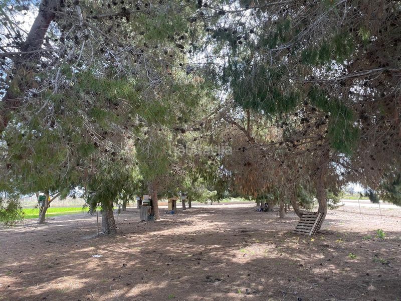 Foto fe9d5cc7-0b21-489c-8517-b1f5a3525756. Finca rústica a Daya Nueva