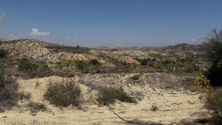 Finca rústica a Cañadas de San Pedro. Terreno rústico en los roques murcia