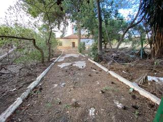 Bauernhof in Pozo Estrecho. Casa de campo con terreno en pozo estrecho