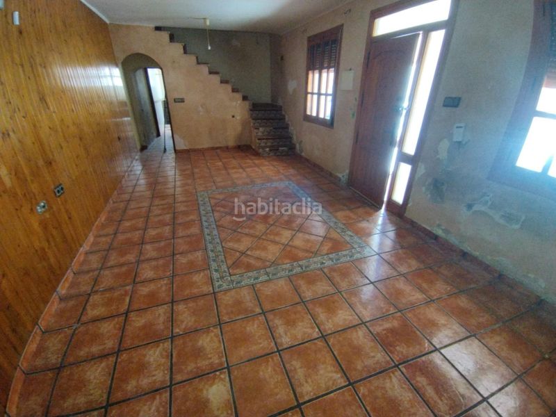 Foto 297ede25-4bbd-48cd-9804-2a78f3a86d27. Pis a Churra Murcia
