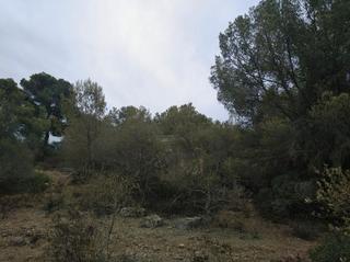 Terreny residencial a Carrer de la mare de déu de begonya 10. Bonito solar en cala blava para hacer dos pareados o un chalet u