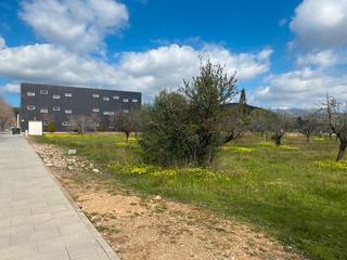Terrain industriel à N/a 1. Solar en el parc bit de palma ,muy bien  ubicado ,ideal para ofi