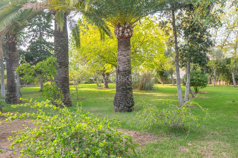Foto db0cbec8-845e-41c1-a748-046ea318df71. Chalet avec cheminée chauffage parking piscine dans Alcúdia