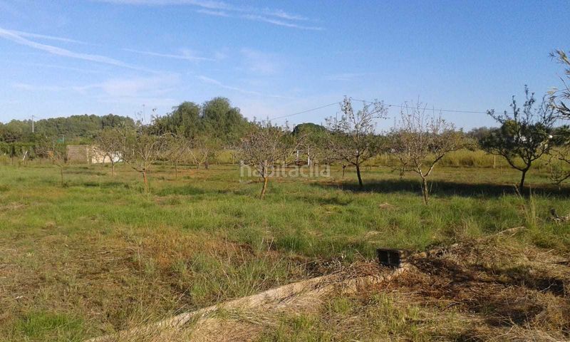 Foto 52629c08-73b0-4e01-b8a2-cb2f024e7647. Terreny residencial a La Sella Pedreguer
