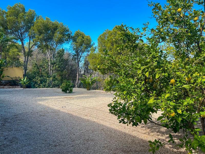 Foto 05f8eee9-db0f-41a8-ac1d-ecc6f4d4b9d9. Chalet con riscaldamento parcheggio piscina in La Pedrera-Vessanes Dénia