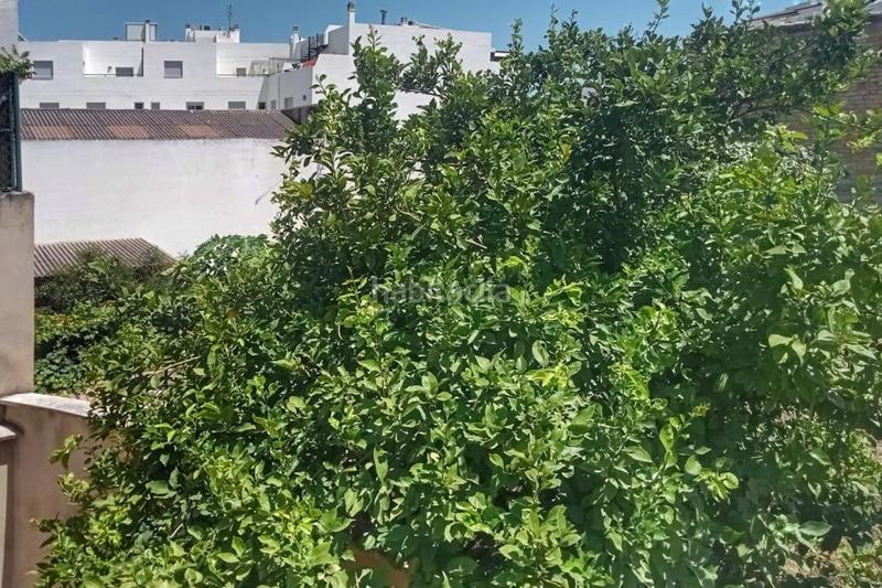 Foto 64046b81-abf2-4976-87d1-7babcb5ac405. Local comercial en Pego