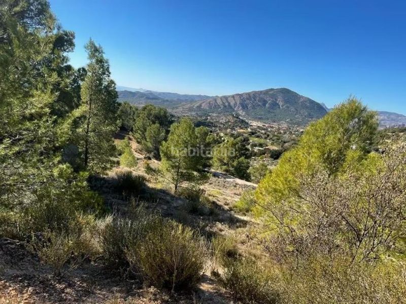 Foto 23f7f271-1710-4593-afdf-0f473b846ec2. Rural plot in Finestrat pueblo Finestrat