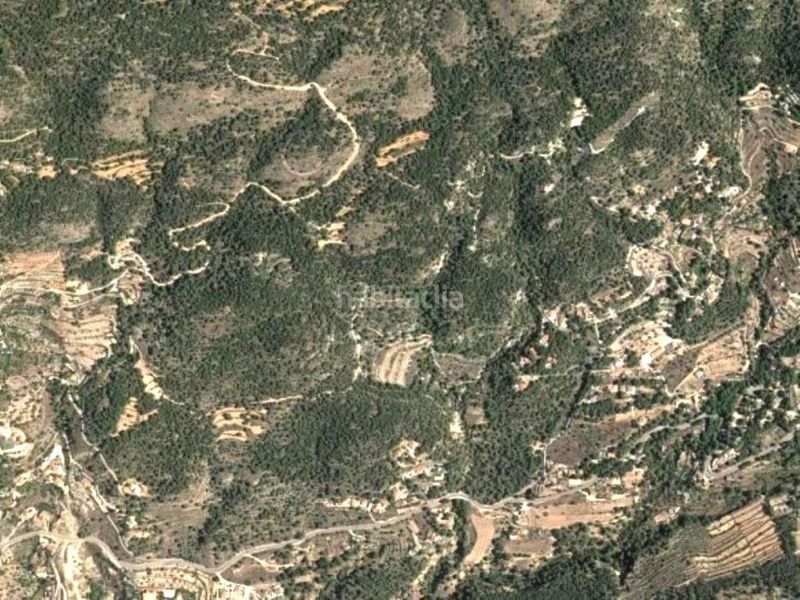 Foto 9d0b1207-db75-4e47-82a3-670b904f9c33. Rural plot in Finestrat pueblo Finestrat