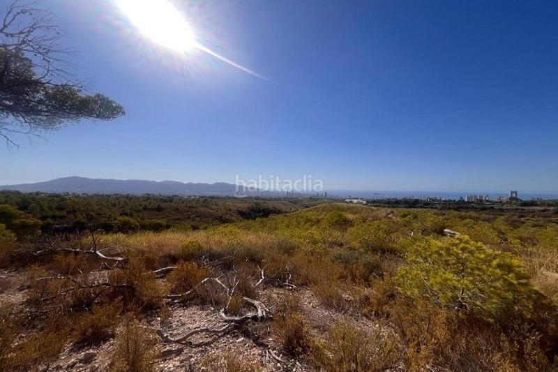 Foto 3dc0a7a4-c6fc-407c-871a-5930fc5ffb1d. Terreno residenziale in Urbanizaciones Benidorm