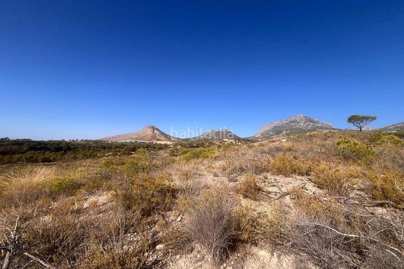 Foto 5246039a-ccae-431b-9dc7-a34a44924b99. Terreno residenziale in Urbanizaciones Benidorm