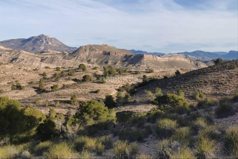 Foto c5bfd645-8d7c-4871-81b9-a4a4cbb1de3b. Finca rústica a Centro Mutxamel