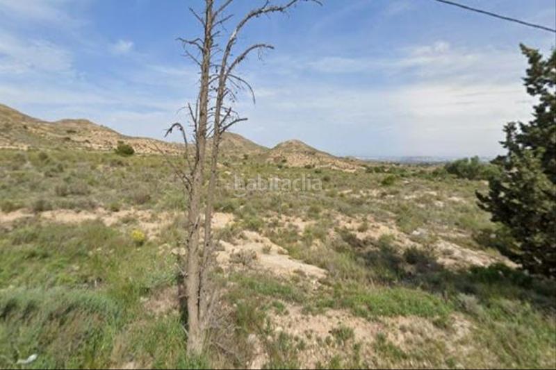 Foto d2041e82-7a59-430f-8658-ada6abe069a7. Finca rústica a Centro Mutxamel