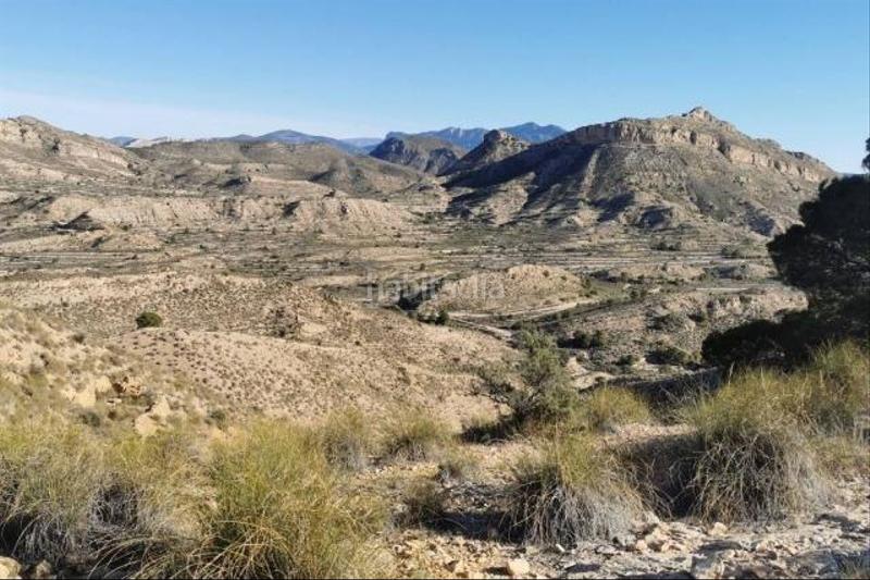 Foto fb849317-3f87-4b9b-aa11-b34de071fb92. Finca rústica a Centro Mutxamel