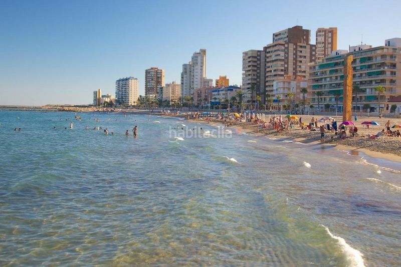 Foto d64eddd9-df35-4e2a-b19c-8ebc439a43c8. Pis a Campello Pueblo Campello (el)