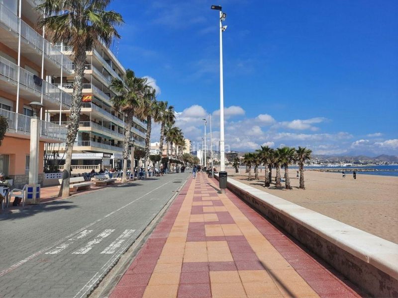 Foto 7f12f865-4792-4544-8588-ae5b72ccc541. Pis a Campello Playa Campello (el)