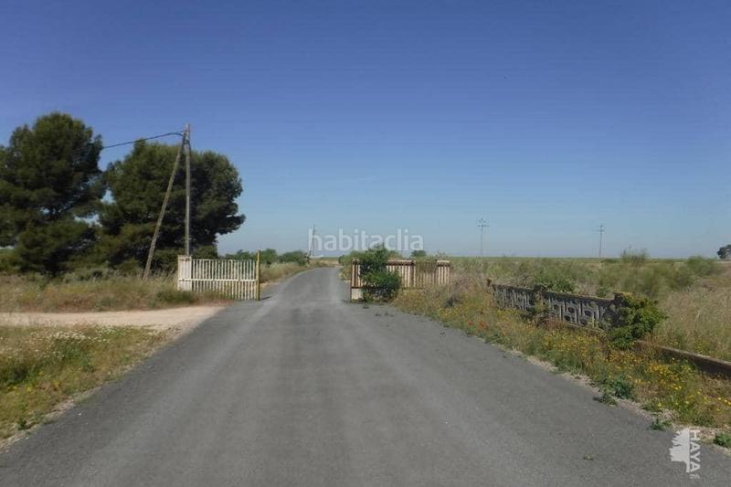 Foto 226378d8-d3b0-4ea7-b8a5-96a9f57e2ef1. Terreny residencial a La Cerdera Lleida