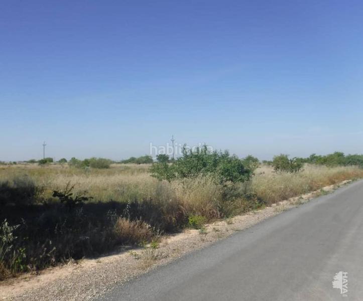 Foto 1619a2c6-f87d-4a28-8496-48e695ebb3db. Terreny residencial a La Cerdera Lleida