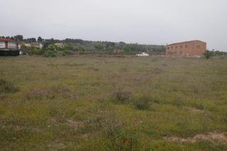 Terreny residencial  Partida mor