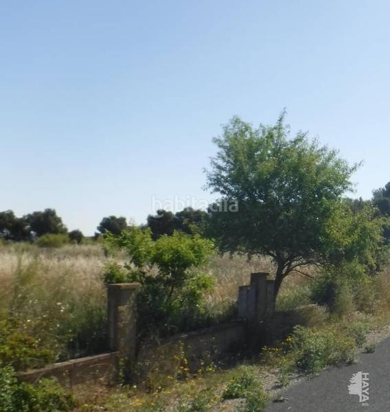 Foto cbff85a8-58dc-4e7d-96a7-1adf06d12882. Terreno residenziale in La Cerdera Lleida