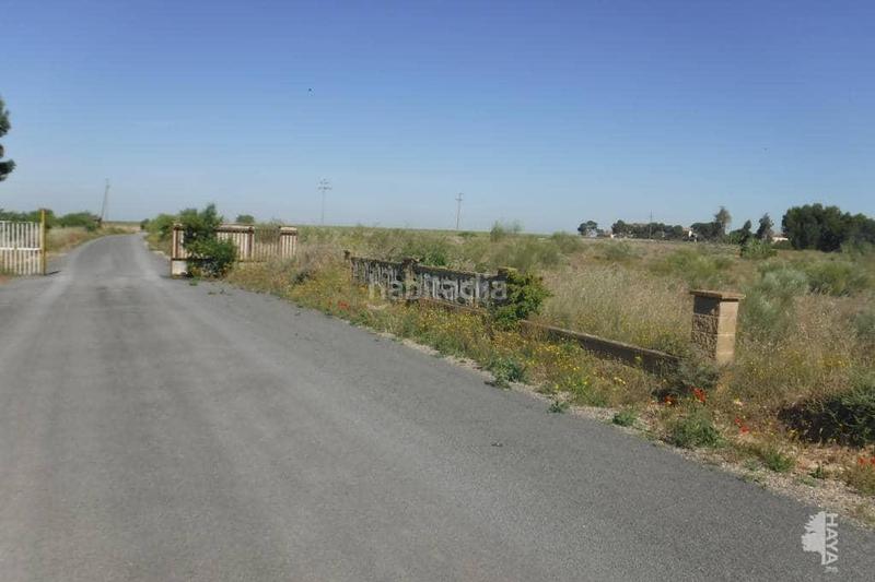 Foto d5099a75-17c0-4498-8111-fe8b0a407ec1. Terreno residenziale in La Cerdera Lleida