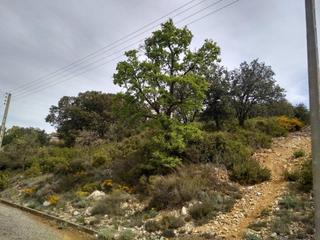 Terreny residencial  Diseminat sant josep fontdepou