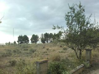 Terreny residencial  Partida cerdera alta. Suelo urbanizable en lleida