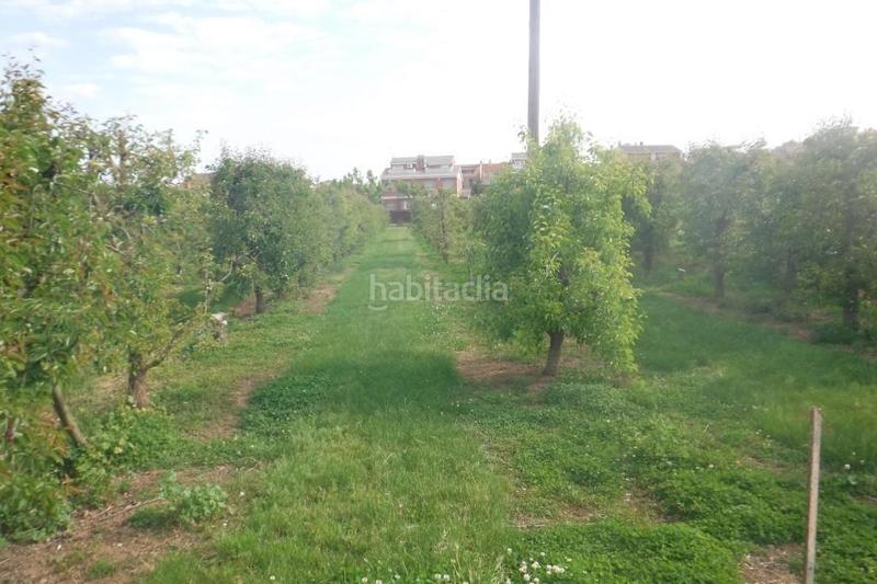 Foto 64a7895a-ac2d-4e9a-bd62-ea76c2e0d144. Terreno residencial suelo urbanizable en Partides Rurals Lleida