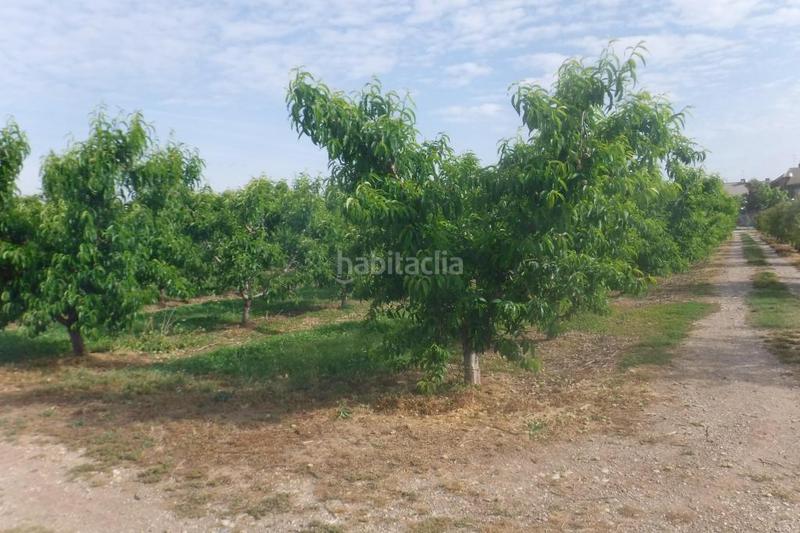 Foto f9133706-9060-4a5a-8916-3add3283800a. Terreno residencial suelo urbanizable en Partides Rurals Lleida