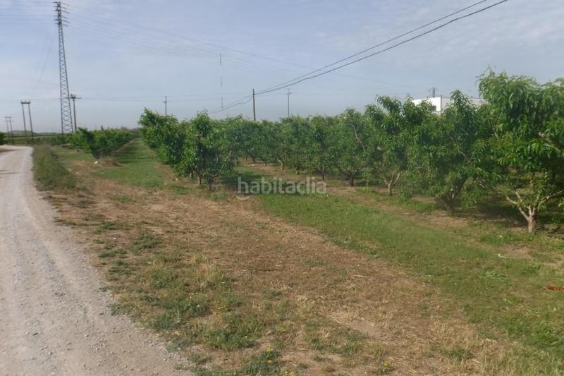 Foto fe6c0de7-8e96-4748-90a3-fed5c717fd92. Terreno residencial suelo urbanizable en Partides Rurals Lleida