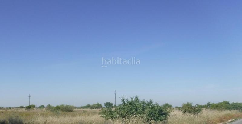 Foto b22a7d2c-0802-4ceb-9627-b1f0c162d75a. Residential plot in La Cerdera Lleida