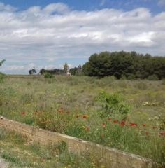 Terreny residencial  Partida cerdera baixa. Suelo urbanizable en lleida