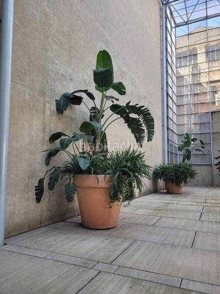 Foto ea27045b-76be-47a1-bf61-98881d929ae9. Lloguer oficina a carrer de la sèquia madriguera 16 a Barcelona