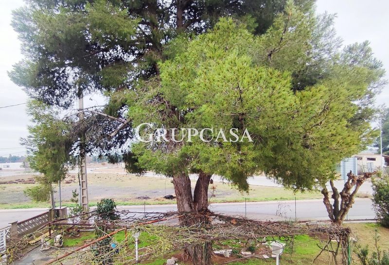 Foto 4ad6558e-016d-45ec-be96-e8f6fe332573. Xalet amb aparcament a Alpicat