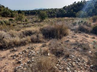 Terreny residencial a Crevillente. Excelente parcela en venta en crevillente