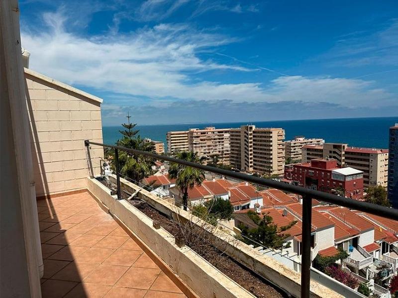 Foto 4de4c529-8592-4bc9-a68a-4ed722bee461. Casa adosada chalet adosado en venta en Cabo Cervera Torrevieja