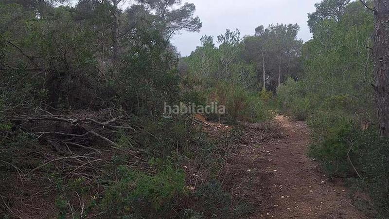 Foto 885b4ff2-22fb-4d25-9aa9-454e80d5c56b. Terreno residenziale in Portichol-Balcón al Mar Xàbia